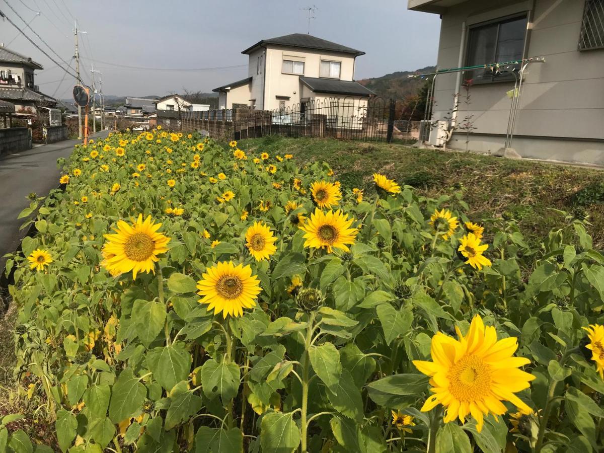 Hotel Yamanobenomichi teku teku Tenri Esterno foto